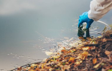 Analiz için su örneği al. Seçici odaklanma. Doğa.