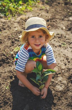 Ağaç Diken Çocuk. Seçici Odaklanma. Çocuk.