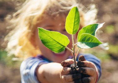 Ağaç Diken Çocuk. Seçici Odaklanma. Çocuk.