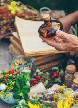 Alternatif şifalı bitkiler, yaşlı kadın. Seçici odaklanma. Doğa.