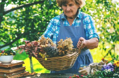 Alternatif şifalı bitkiler, yaşlı kadın. Seçici odaklanma. Doğa.