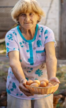 Büyükannem çiftlikte yumurta tutuyor. Seçici odaklanma. yiyecek.