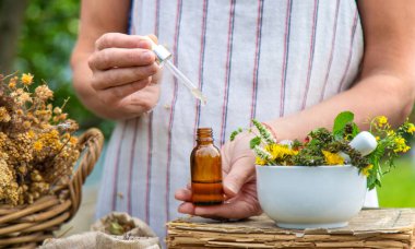 Şifalı bitkiler kadın alternatif tıp. Seçici odaklanma. Doğa.