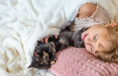 Evde kedi yavrularıyla oynayan bir çocuk. Seçici odaklanma. çocuk.