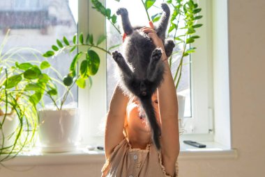 Evde kedi yavrularıyla oynayan bir çocuk. Seçici odaklanma. çocuk.