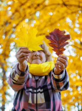 Sonbahar parkında kıdemli bir kadın. Seçici odaklanma. Doğa.