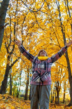 Sonbahar parkında kıdemli bir kadın. Seçici odaklanma. Doğa.