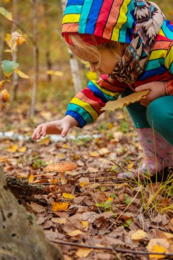 Çocuk ve ormanda agarik uçmak. Seçici odaklanma. Doğa.