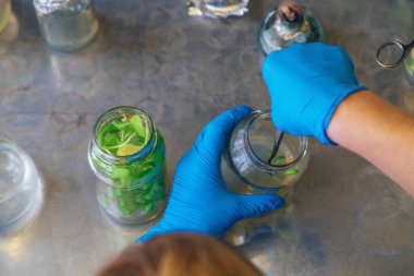 Bitkilerle dolu laboratuvar kavanozları. Seçici odaklanma. İnsanlar.