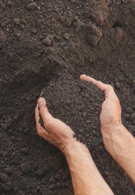 Toprak bir adamın elindedir. Seçici odaklanma. İnsanlar.