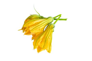 Beyaz arka planda kabak çiçekleri. Seçici odaklanma. Yiyecek..