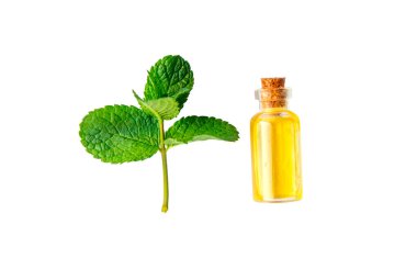 Şişedeki temel yağ. Seçici odaklanma. Doğa.