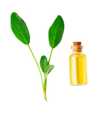 Şişedeki temel yağ. Seçici odaklanma. Doğa.