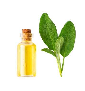 Şişedeki temel yağ. Seçici odaklanma. Doğa.