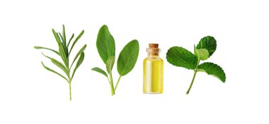 Şişedeki temel yağ. Seçici odaklanma. Doğa.