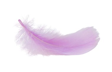 Beyaz arka planda bulunan tüyler. Seçici odak.