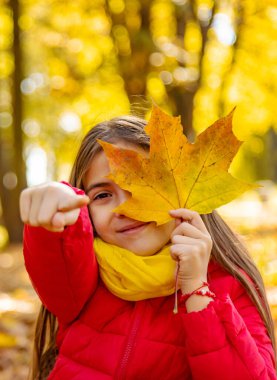 Parktaki sarı yapraklı sonbahar çocuğu. Seçici odaklanma. Çocuk.