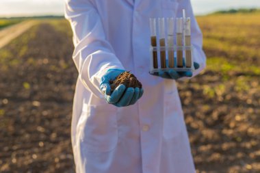 Analiz için toprak örnekleri. Seçici odaklanma. Doğa.