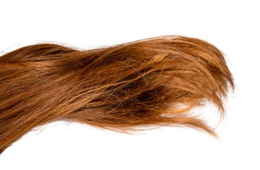 Beyaz arka planda izole edilmiş saç. Seçici odaklanma. insanlar.