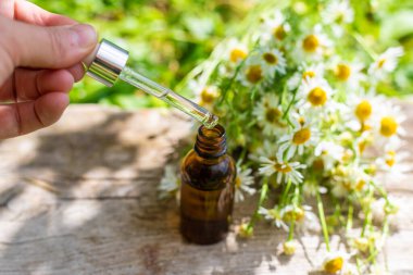 Alternatif tıp ve kozmetik ürünleri için papatya çayı. Seçici odaklanma. Doğa.