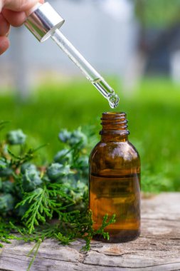 Thuja esaslı yağ ve takviyeler. Seçici odaklanma. Doğa.