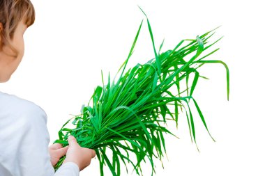 Bir çiftlikteki biyo-bitkiler bir çocuk. Doğa.