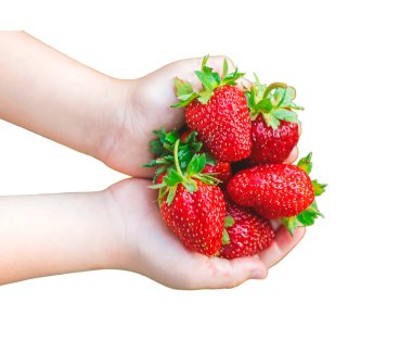 Elinde çilek olan bir çocuk. Seçici odaklanma. yiyecek.