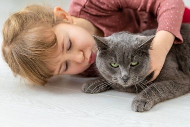 Bir çocuk evde bir kediyle oynar. Seçici odaklanma. Çocuk.