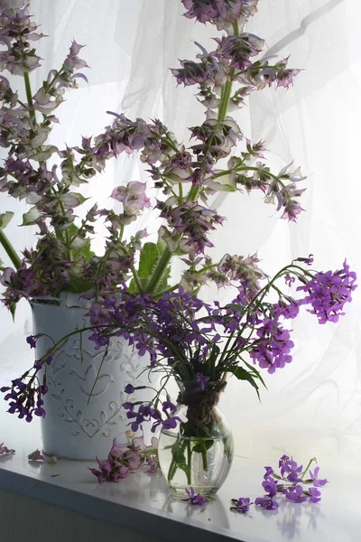 Sauge en fleurs dans un vase blanc — Photo