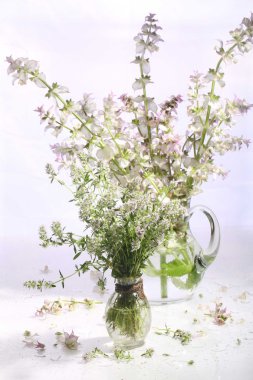 Otlar, adaçayı ve kekik 