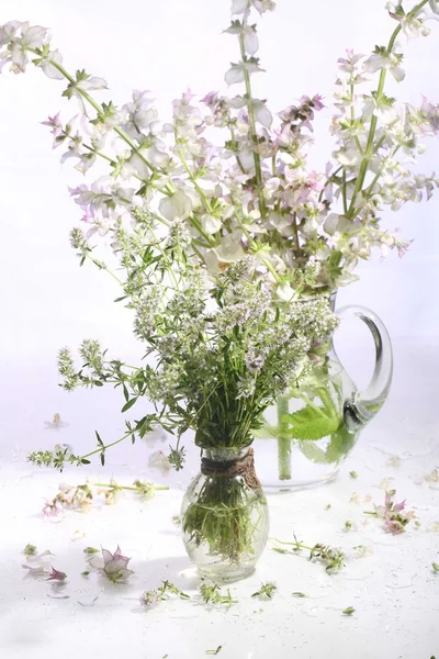 Herbs, sage and thyme — Stock Photo, Image