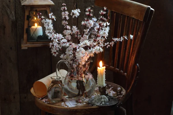 Still life with flowering branches of apricot and candle — Stock Photo, Image