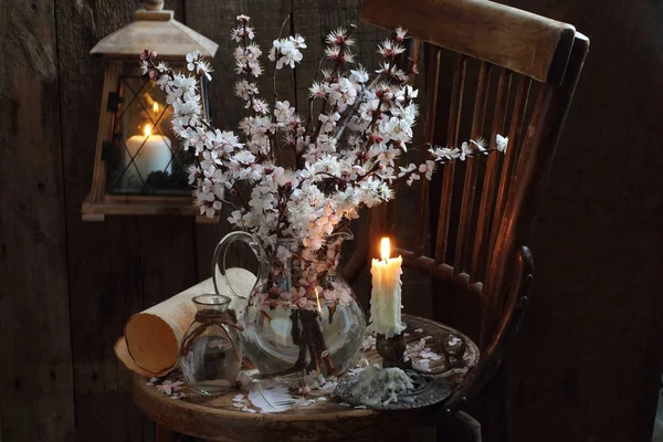 Ainda vida com ramos floridos de damasco e vela — Fotografia de Stock