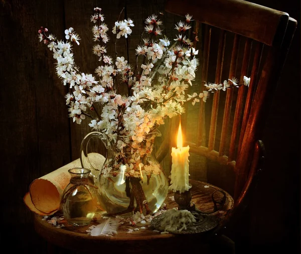 Still life with flowering branches of apricot and goreway candle — Stock Photo, Image