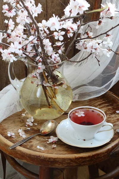 Bouquet de chá e primavera — Fotografia de Stock