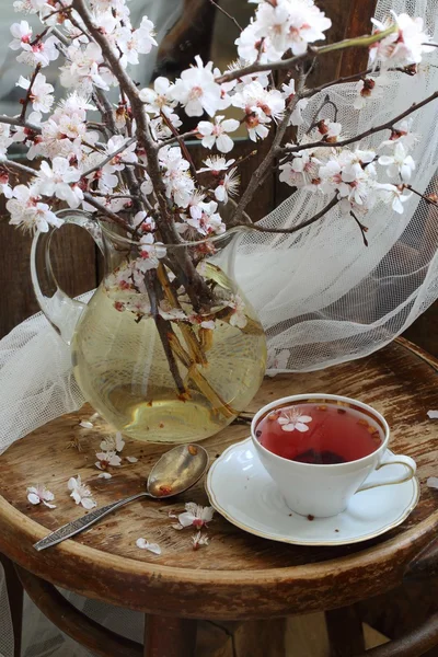 Te och våren bukett — Stockfoto