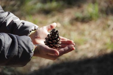 Çocuk elinde bir yumru tutar.