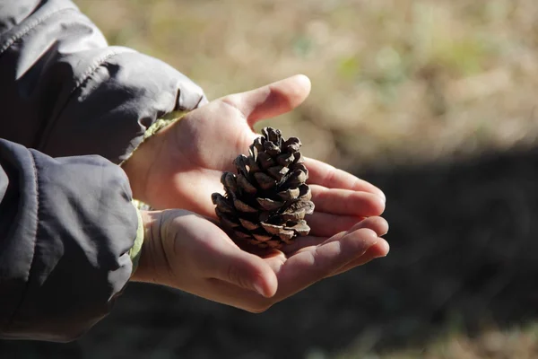 The child holds in his hands a lump — Stock Photo, Image