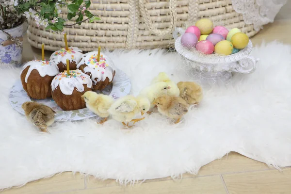 Easter cakes, colored eggs and live chickens — Stock Photo, Image