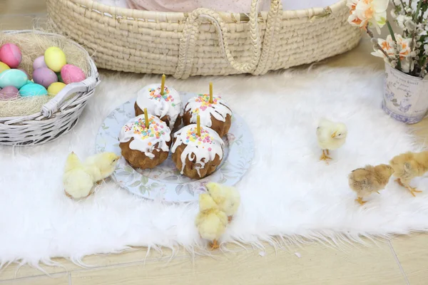 Easter cakes, colored eggs and live chickens — Stock Photo, Image