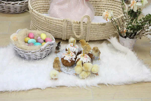 Keksy Wielkanocne, kolorowe jajka i kury na żywo — Zdjęcie stockowe