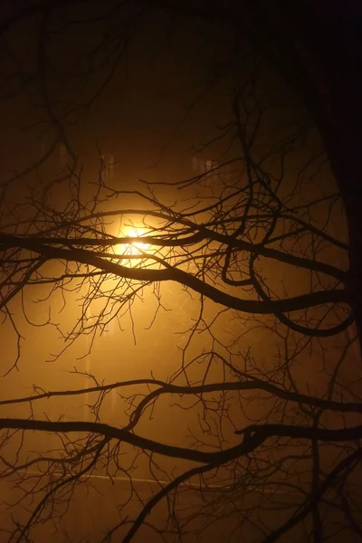 Niebla en la ciudad — Foto de Stock