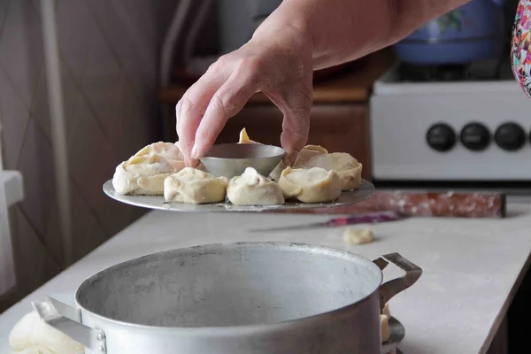 Тесто с мясной начинкой на пару (пельмени ) — стоковое фото