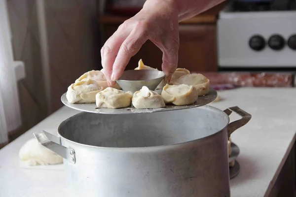 Тесто с мясной начинкой на пару (пельмени ) — стоковое фото