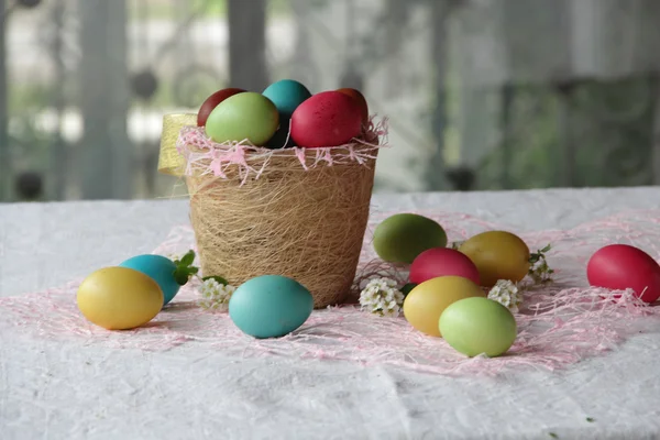 Œufs de Pâques dans un panier — Photo