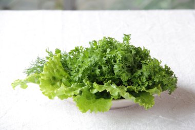 tabakta su teresi ve marul yaprakları