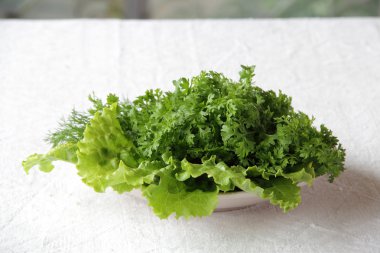 tabakta su teresi ve marul yaprakları