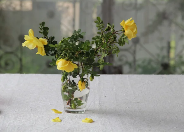 Букет желтых роз — стоковое фото