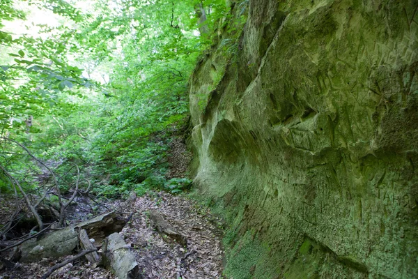 L'inscription sur le flanc d'une montagne couverte de mousse — Photo