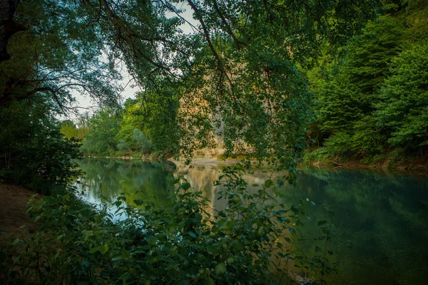 Floresta de rio e a costa, uma pedra na margem do rio — Fotografia de Stock